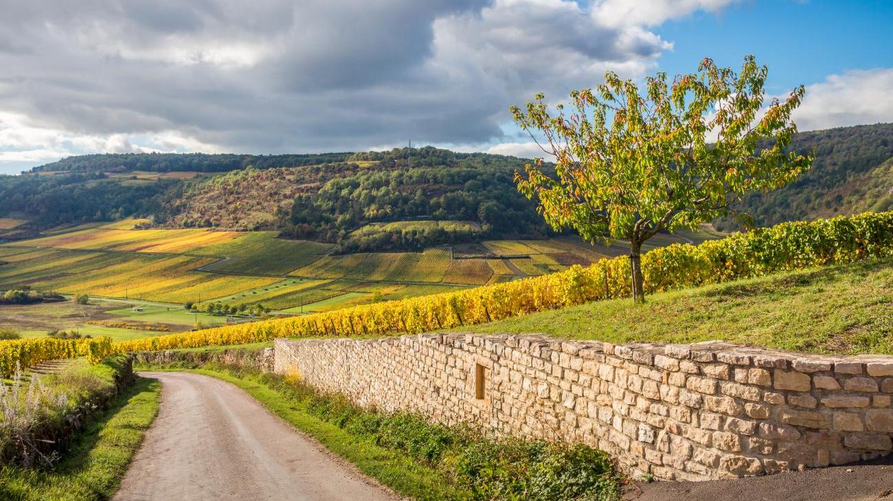 Gruppenreisen nach Frankreich - Burgund und Champagne, wo die Tropfen besonders edel sind