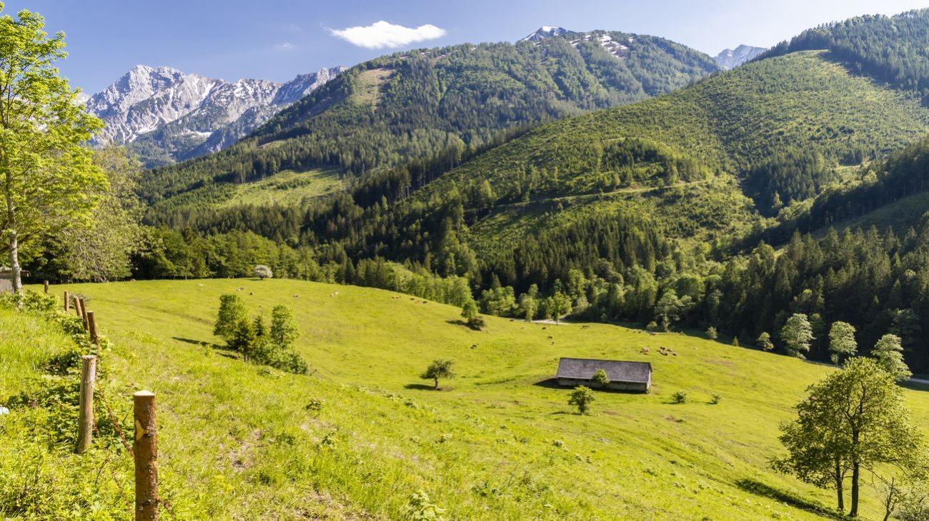 Gruppenreisen nach Oberösterreich – eine idyllische Auszeit erleben