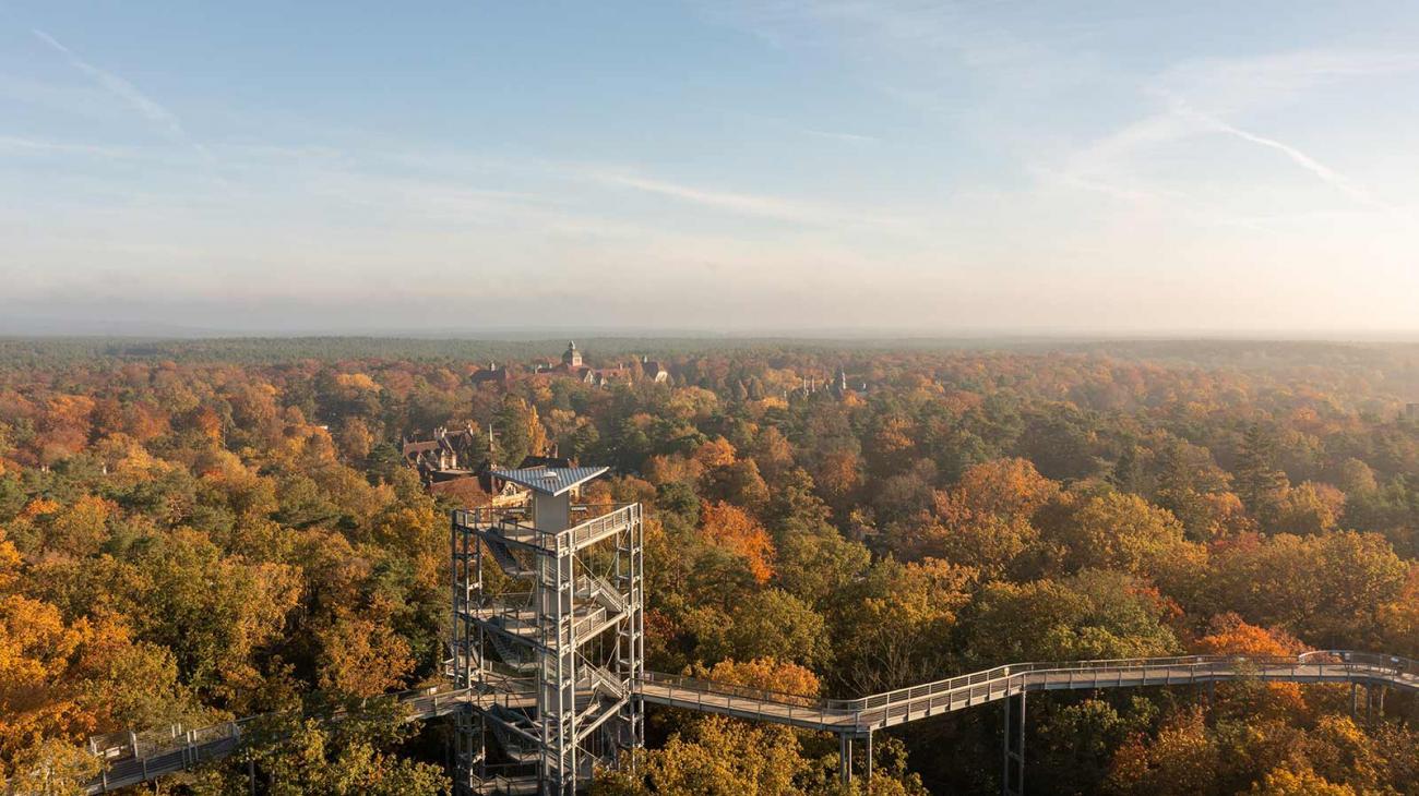 baumkronenpfad beelitz heilstätten baum&zeit fotos