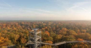 Baum&Zeit - Baumkronenpfad Beelitz Heilst?tten