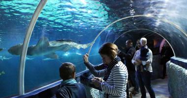 Sylt-Aquarium