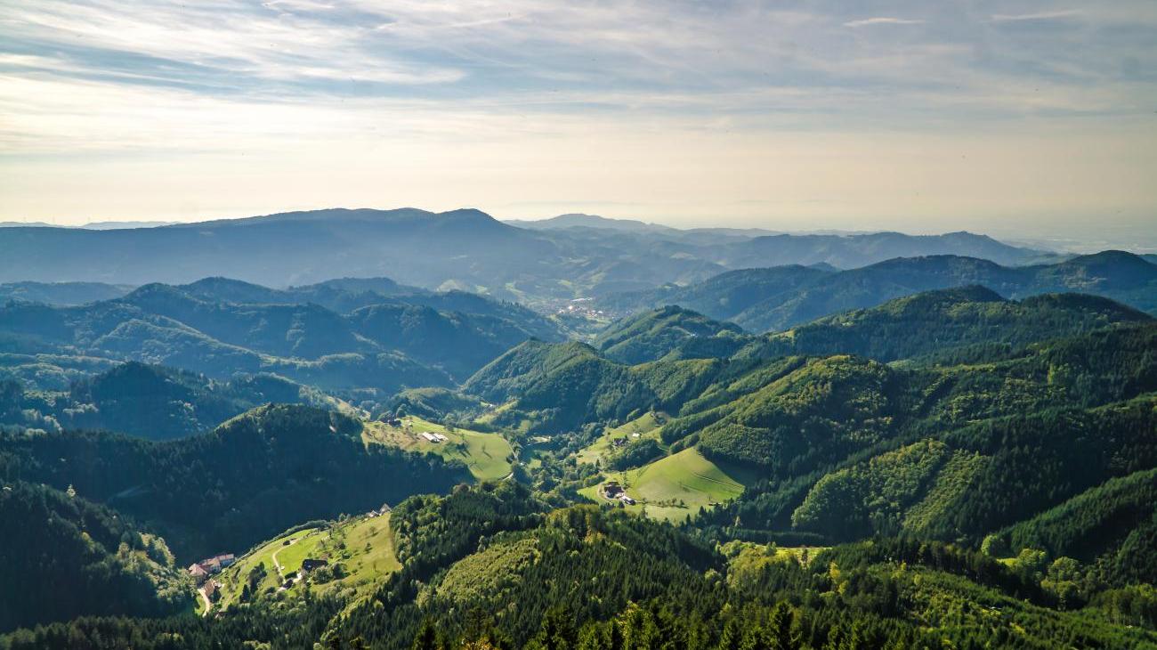 Malerischer Schwarzwald 