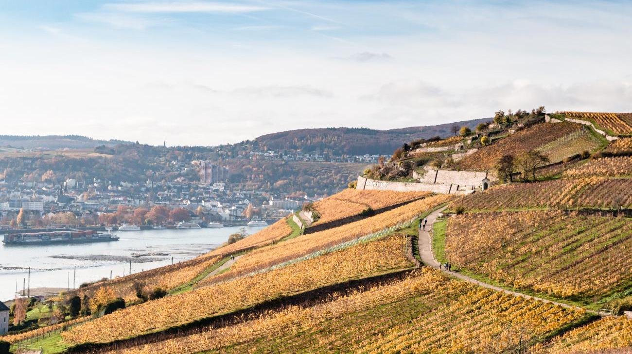 Gruppenreisen nach Deutschland - Rüdesheim, Weinstadt mit Vogel