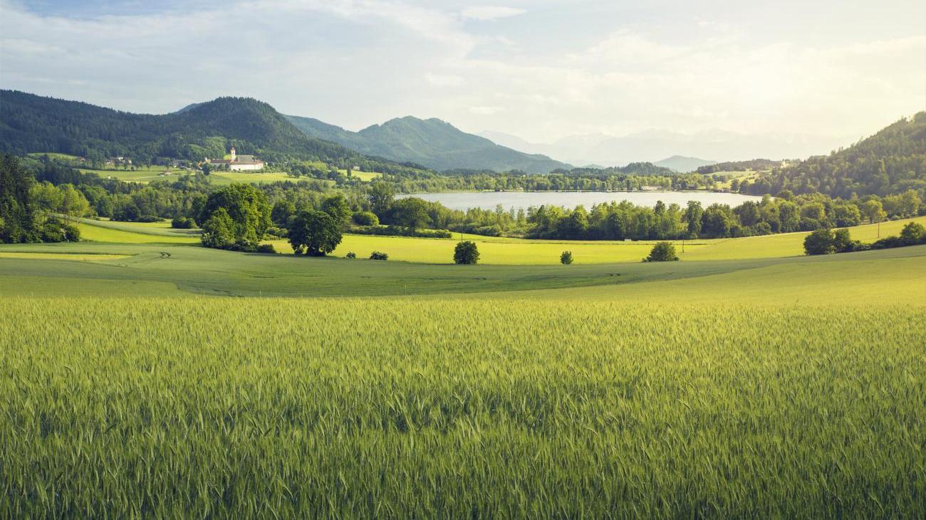 Gruppenreisen zum Längsee - naturbelassener Badesee in traumhafter Lage