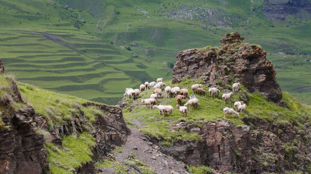 Gruppenreisen nach Großbritannien - Wales, Heimat des roten Drachen