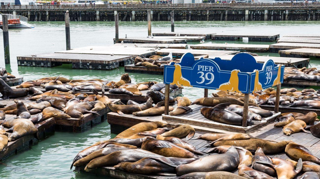 Gruppenreisen in die USA – einen Aufenthalt in San Francisco genießen