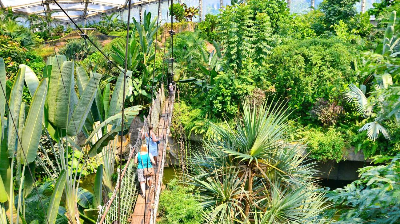 Fantastischer Zoo Leipzig 