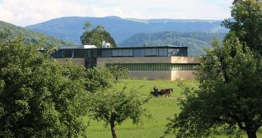 Museum für Musikautomaten