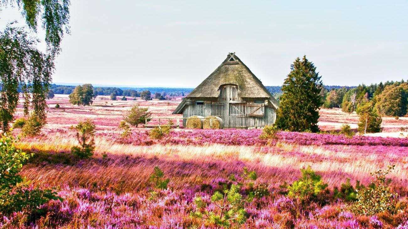 Traumhafte Elbe & Lüneburger Heide Region 