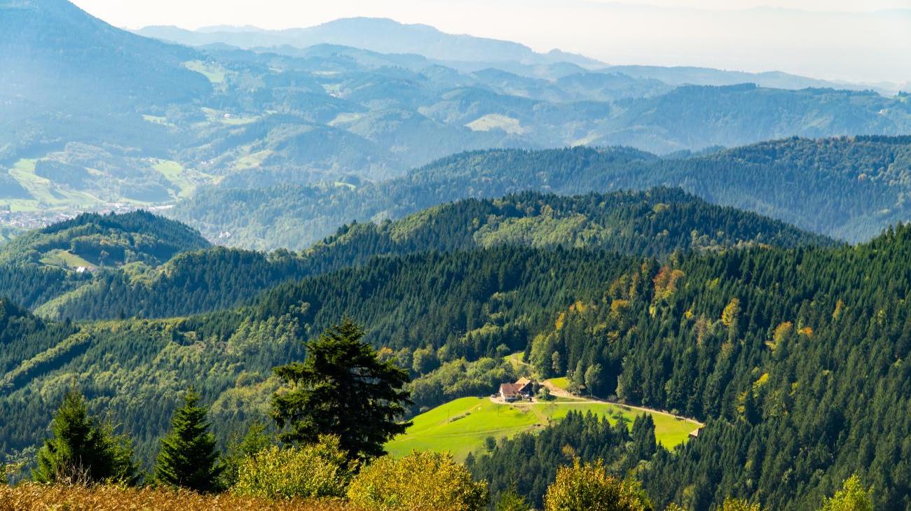 Im idyllischen Renchtal wandern 