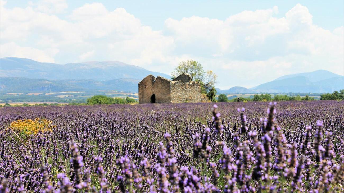 Gruppenreisen nach Frankreich - Tief durchatmen in der Provence