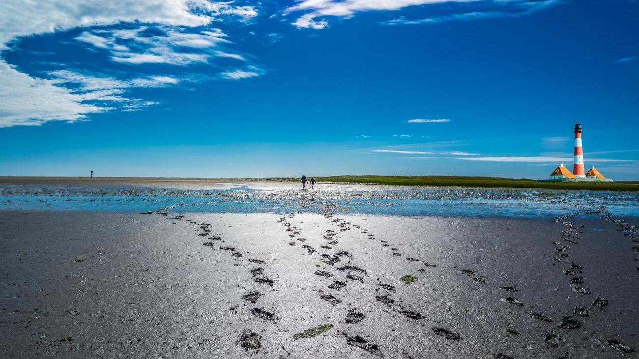 Gruppenreisen zum Wattenmeer - unvergessliches Erlebnis