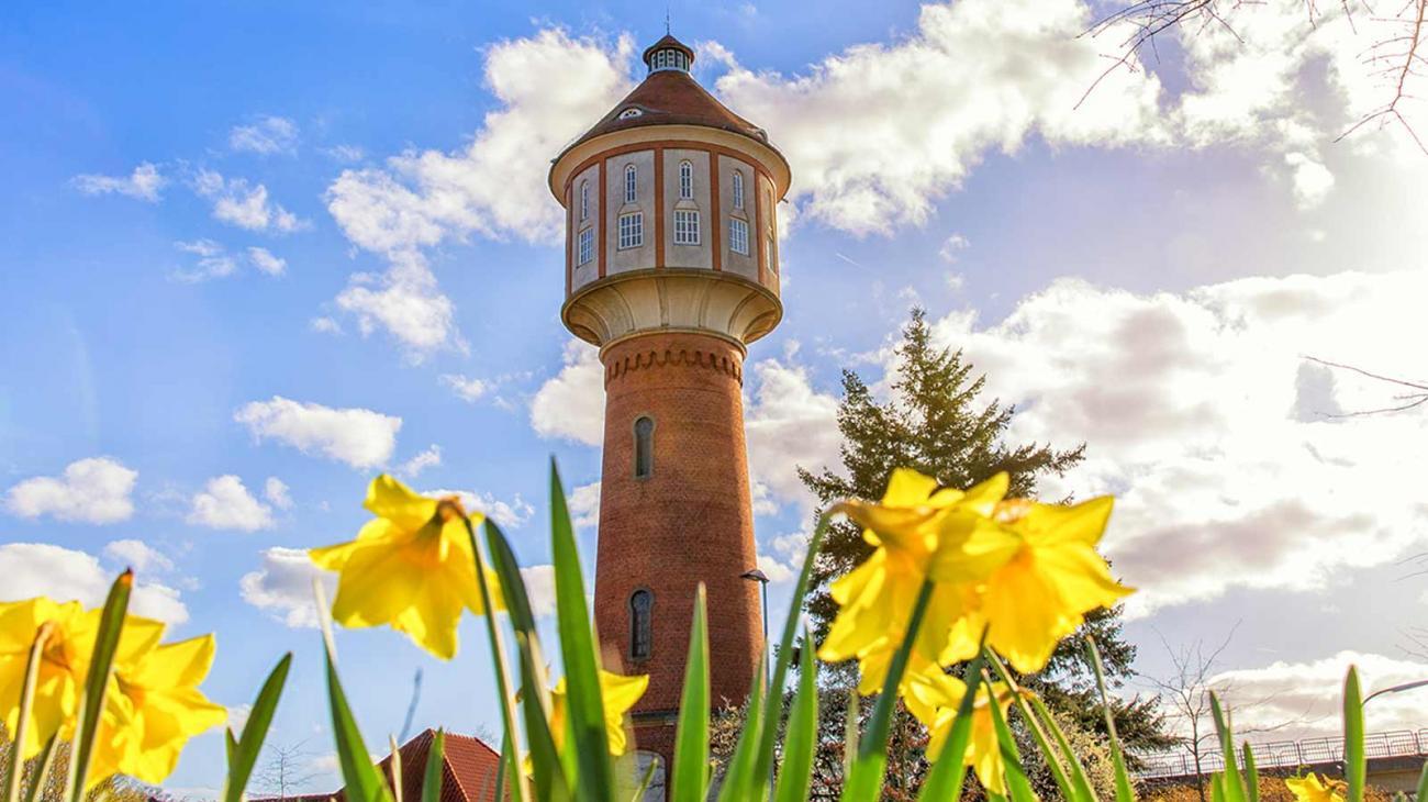 Lingen Tourismus Willkommen in Lingen! auf