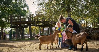 Wild- und Erlebnispark Daun