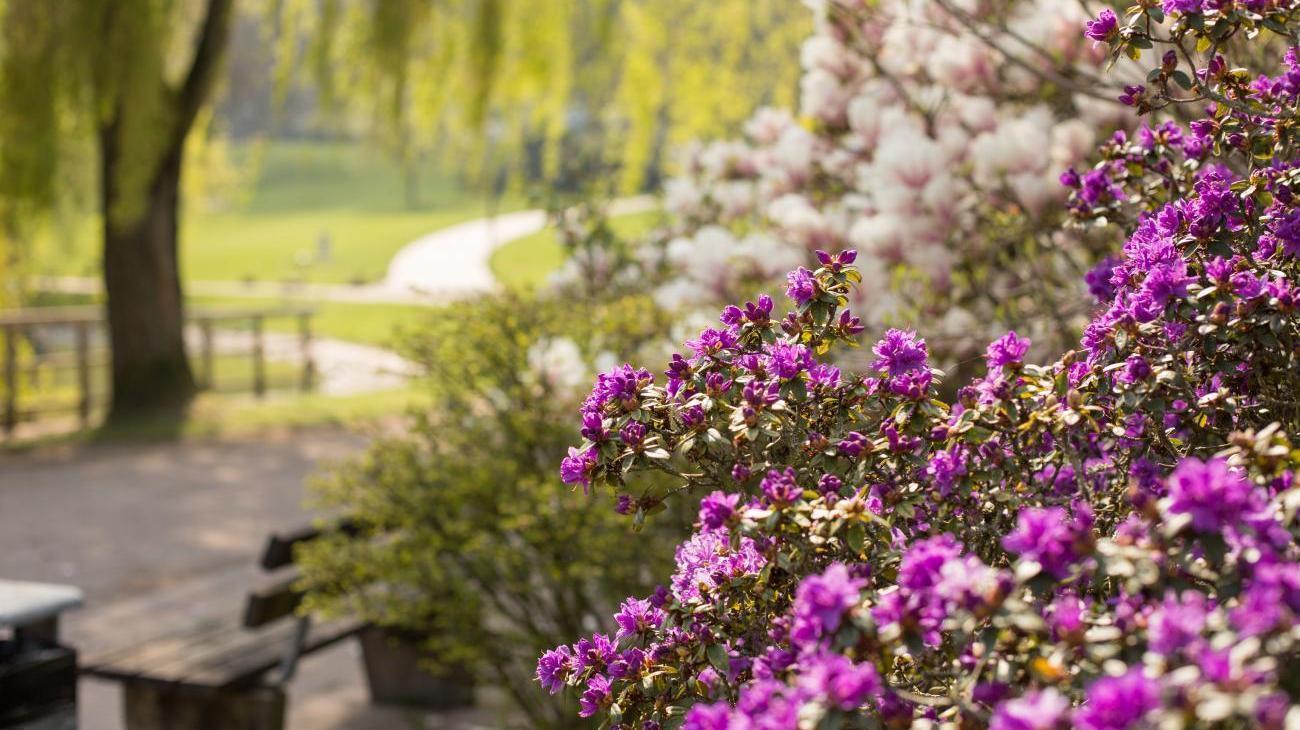 OrchIDEENgarten & Cafe Die Gärtnerei