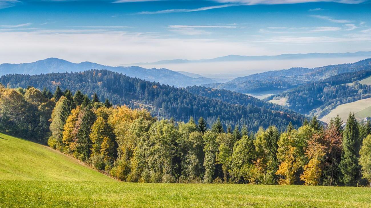 Feldbergbahn Gemütlich auf den höchsten Berg im