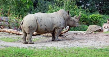 Zoo Salzburg