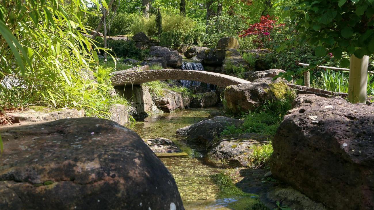 Wildpark Bad Mergentheim