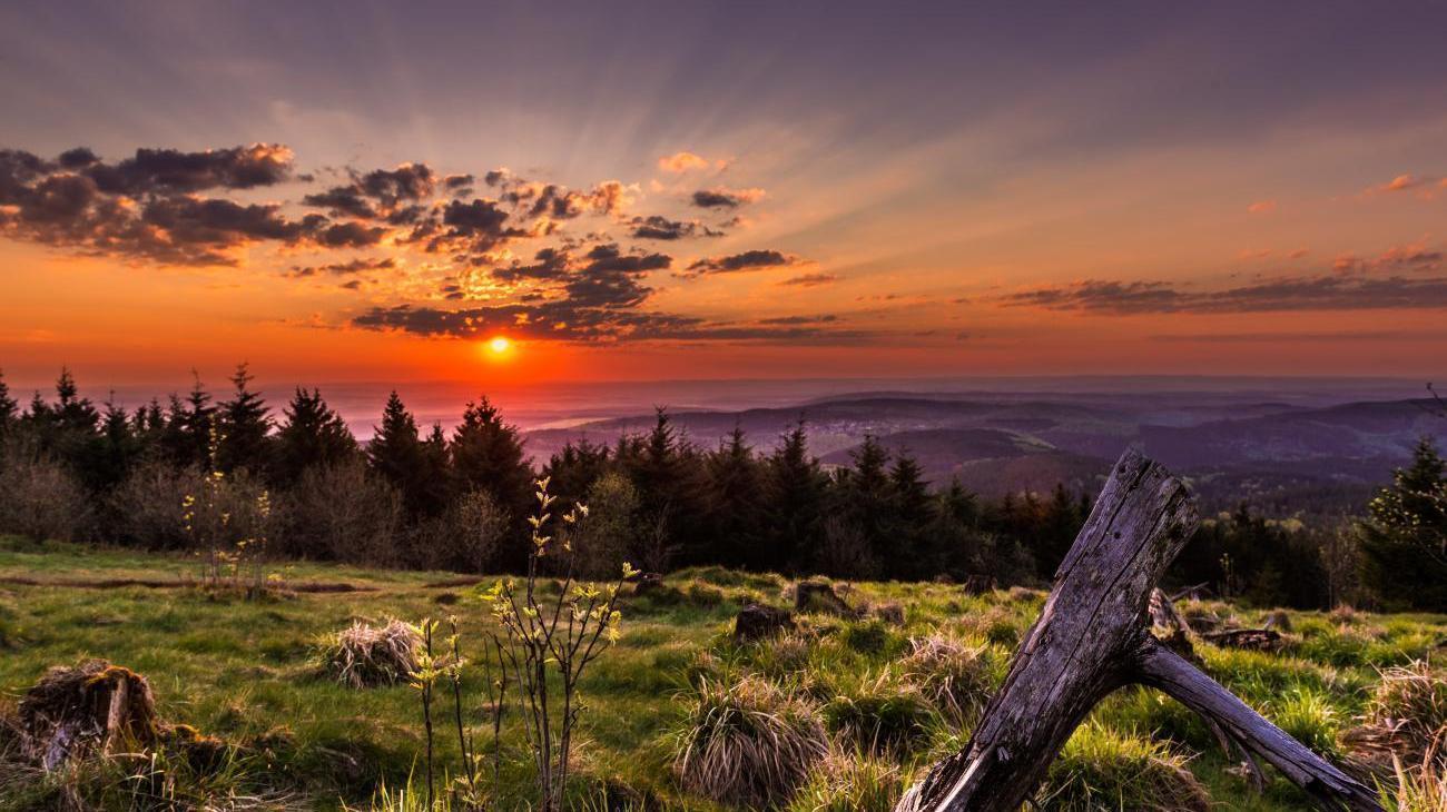 Taunus Touristik Service