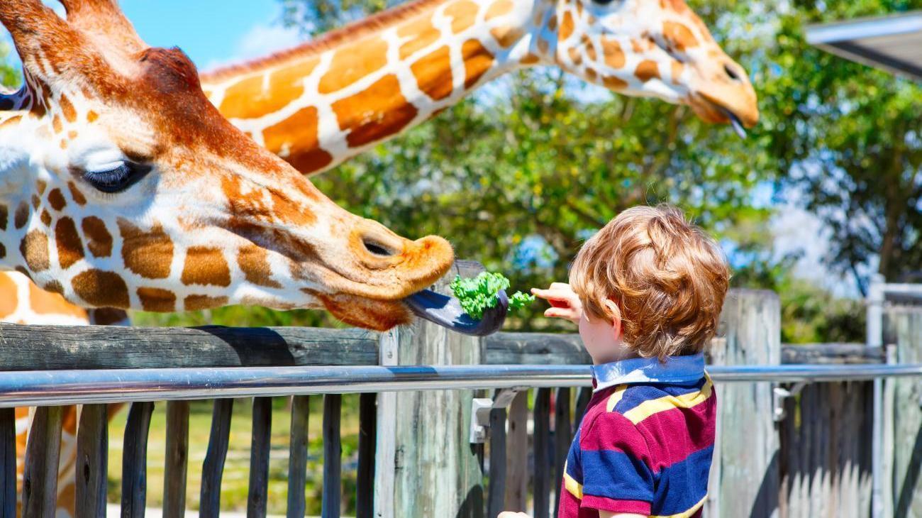 Münchener Tierpark Hellabrunn
