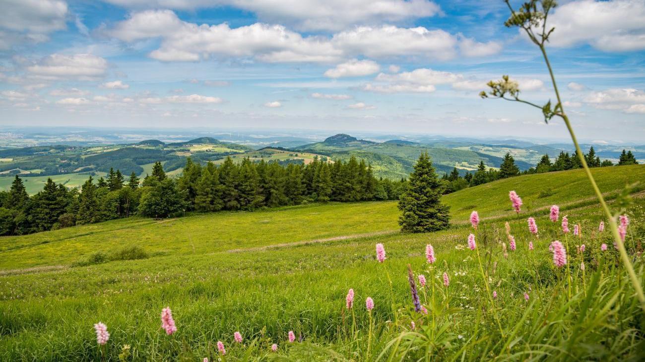 Stadt Gersfeld (Rhön)