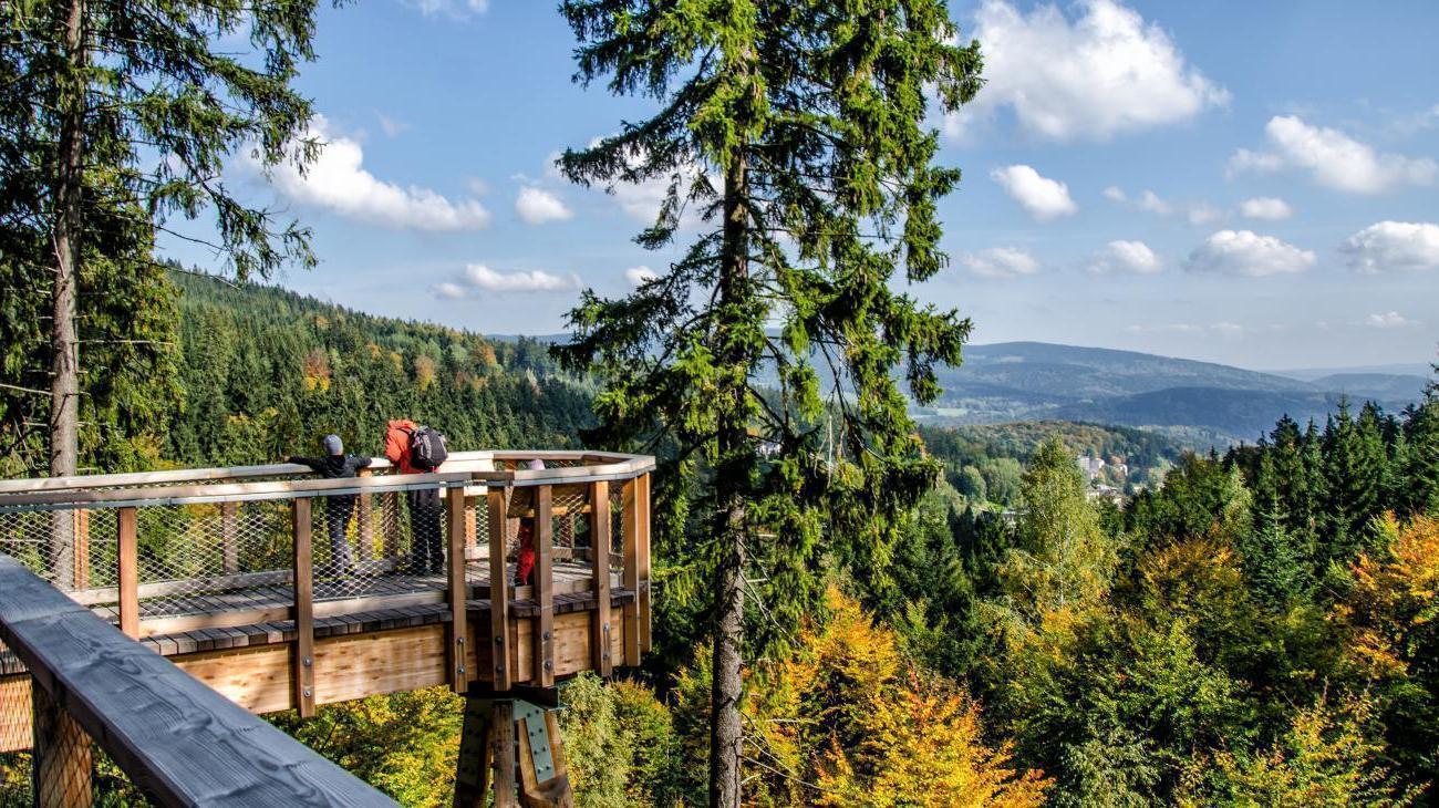 Baum&Zeit Baumkronenpfad Beelitz Heilstätten