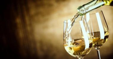 Weingut Hofl??nitz