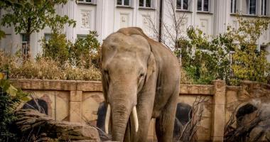 Zoo Leipzig