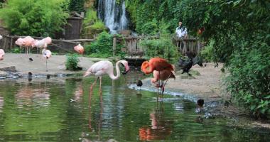 Zoo Hannover