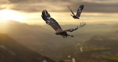 Adlerarena Burg Landskron