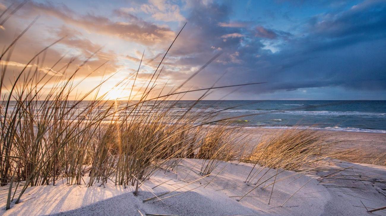 Gruppenreisen nach Nordeuropa - Frische Luft und Energie tanken an der Ostseeküste