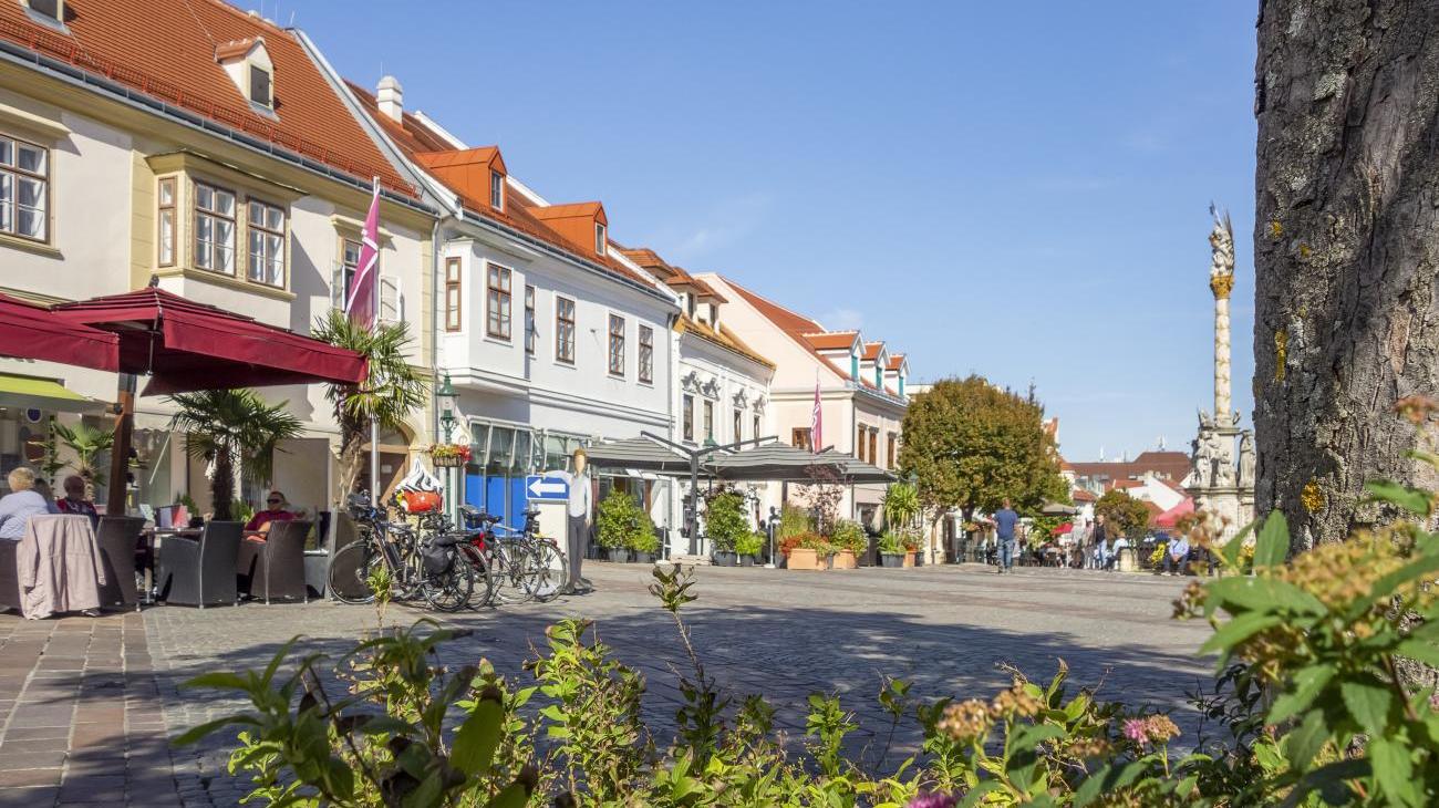 Gruppenreisen nach Österreich - den sehenswerten Freistaat Eisenstadt erleben