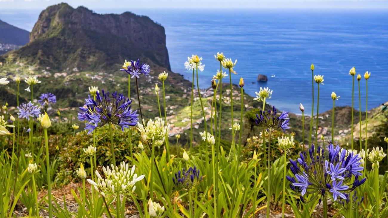 Gruppenreisen nach Portugal - Madeira, blühendes Paradies im Atlantik