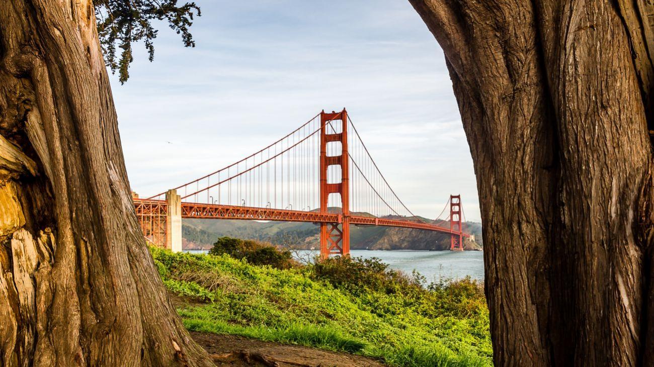 Gruppenreisen in die USA – die reizvolle Stadt San Francisco