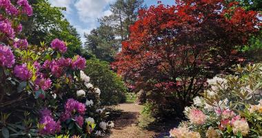 Rhododendronpark Hobbie