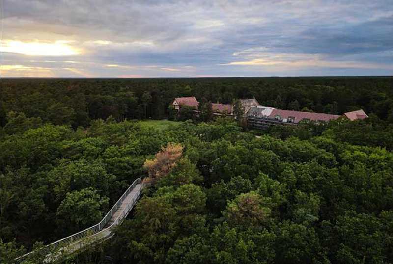 Baum&Zeit - Baumkronenpfad Beelitz Heilstätten