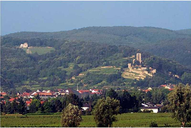  Wein- und Ferienregion Wachenheim