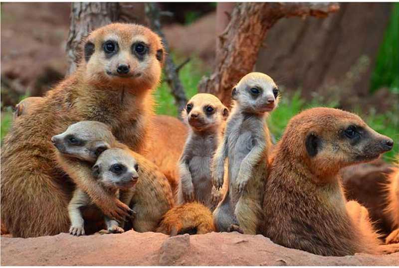 Thüringer Zoopark Erfurt