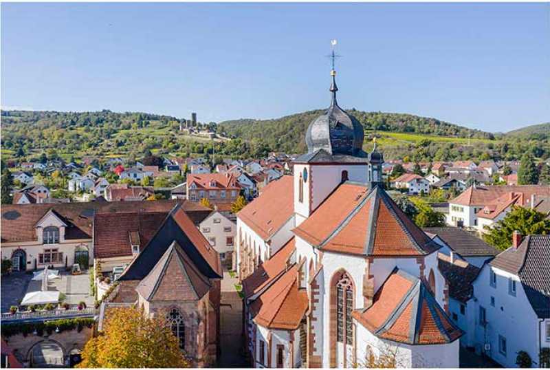  Wein- und Ferienregion Wachenheim