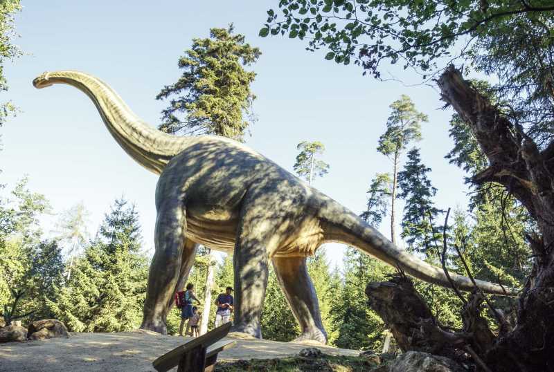 Dinosaurier Museum Altmühltal