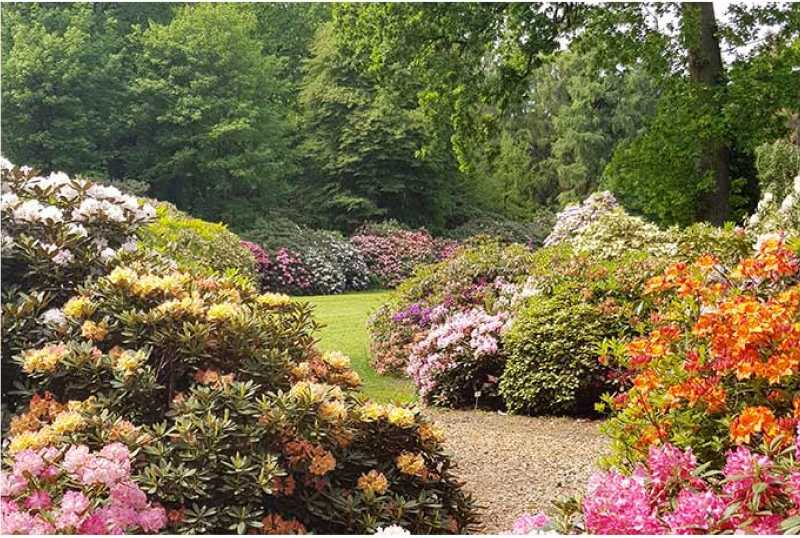 Rhododendronpark Hobbie