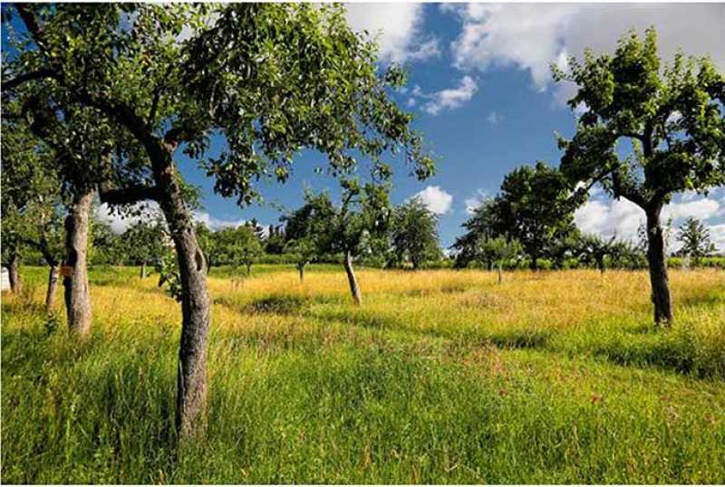 KONSUM Hotel Dorotheenhof Weimar