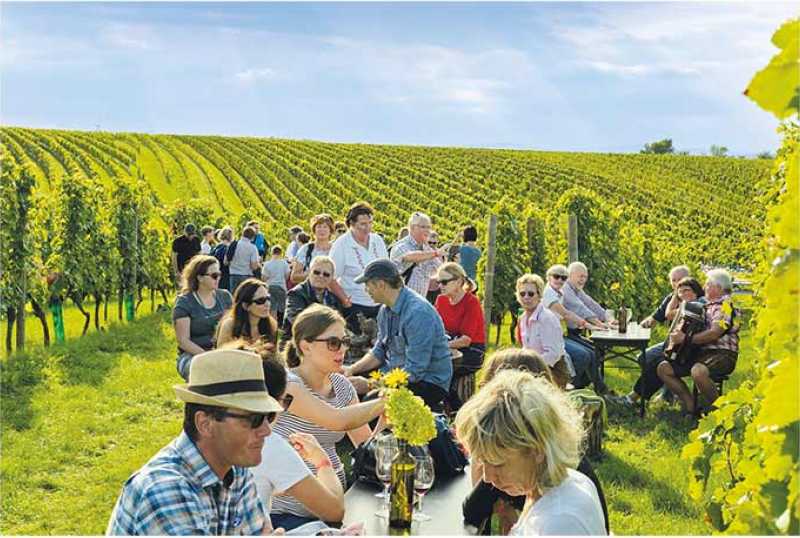 Tourismusverband Mittelburgenland-Rosalia