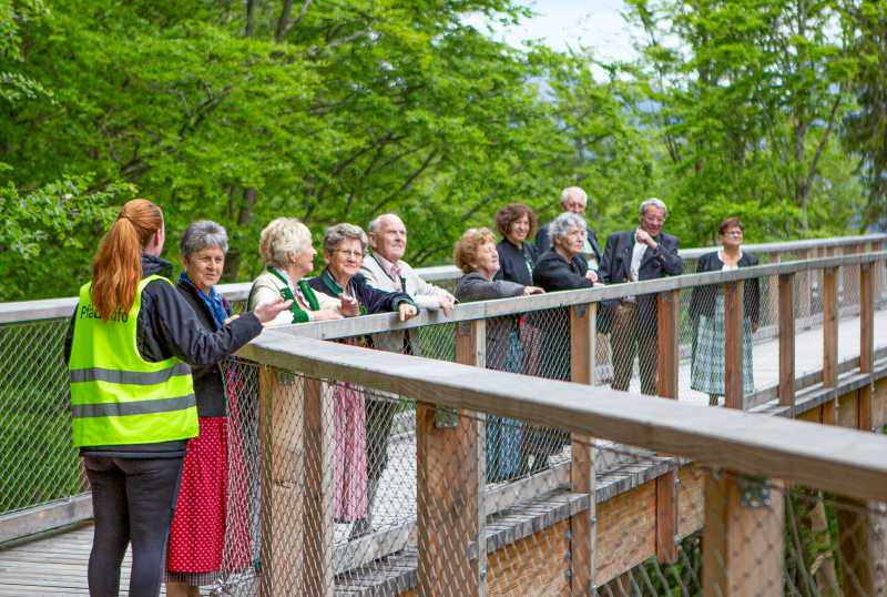 Baumwipfelpfad Salzkammergut