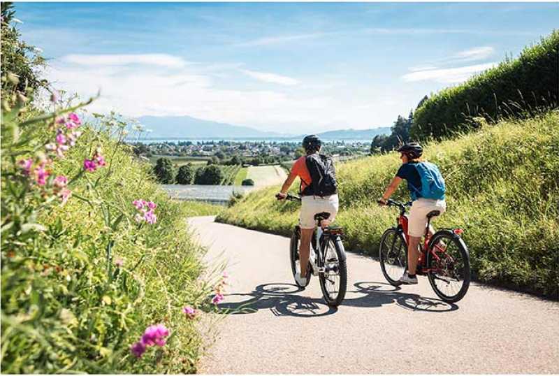 Bodensee Trips & Tours