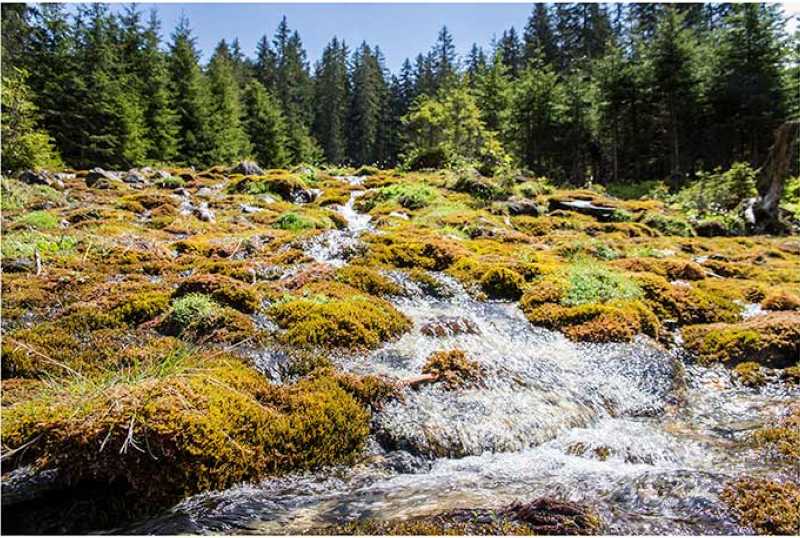 Raurisertal