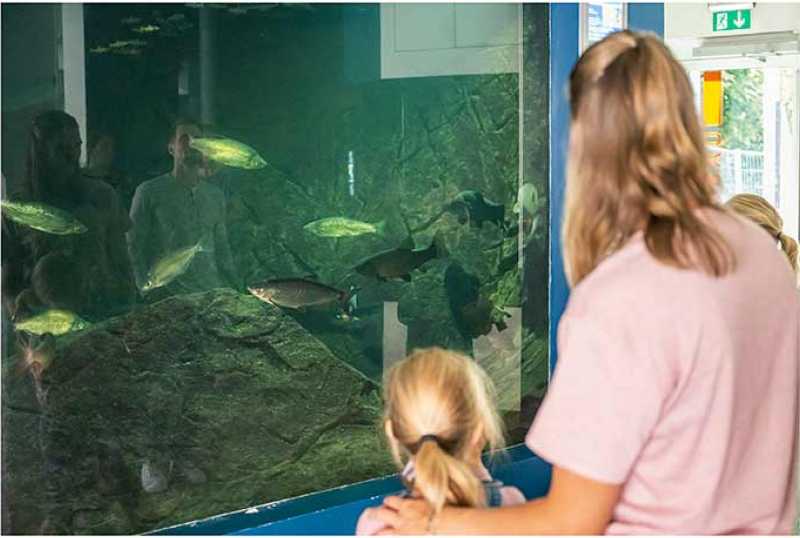 Biosphaerium Elbtalaue