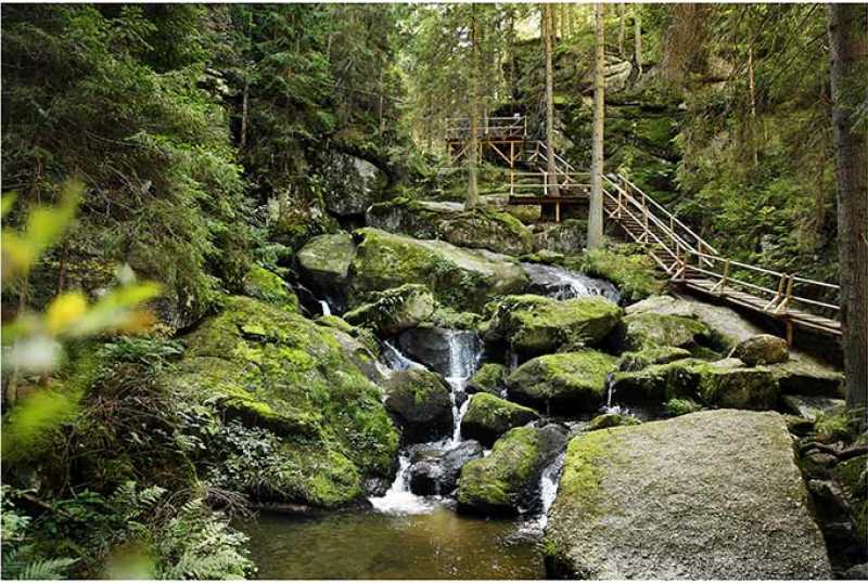 Waldviertel