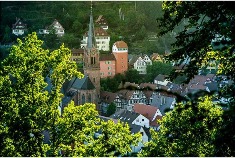 Calw