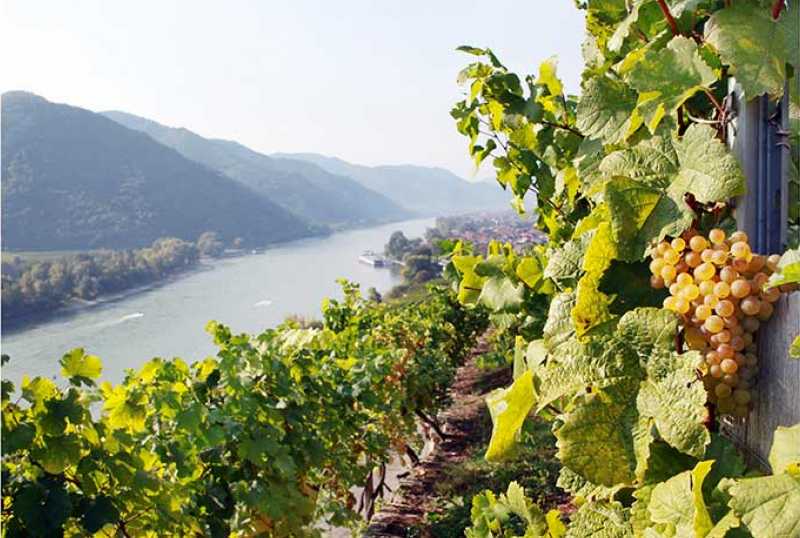 Steinschaler Naturhotels